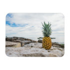 Tropical Pineapple at the Beach