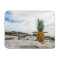 Tropical Pineapple at the Beach