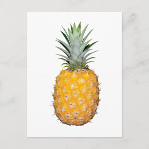 Tropical pineapple postcard