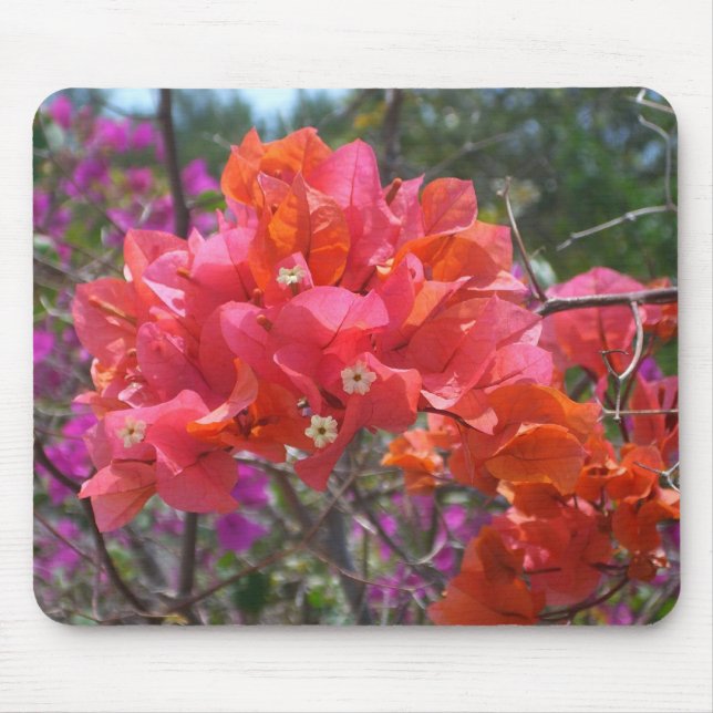 Tropical Pink Bougainvillea Island Floral Mouse Pad (Front)