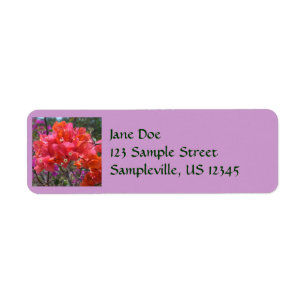 Tropical Pink Bougainvillea Island Floral Return Address Label