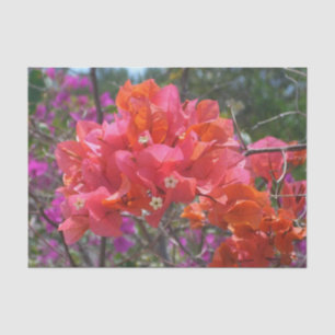 Tropical Pink Bougainvillea Island Floral Tissue Paper