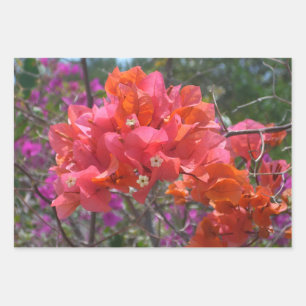 Tropical Pink Bougainvillea Wrapping Paper Sheet