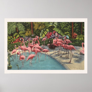 Tropical Pink Flamingo Flamboyance Print