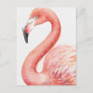 Tropical   Pink Flamingo Postcard