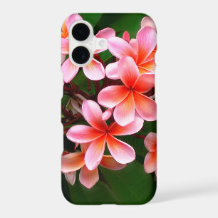 Tropical Pink Green Plumeria Flower Floral Photo