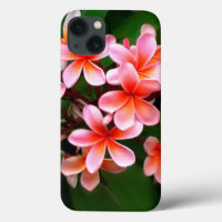 Tropical Pink Green Plumeria Flower Floral Photo
