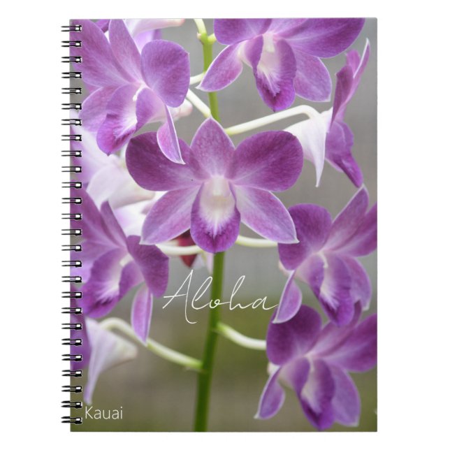 Tropical Pink Orchid Flowers Kauai Notebook (Front)