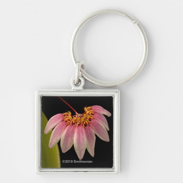 Tropical Pink Orchid Key Ring (Front)