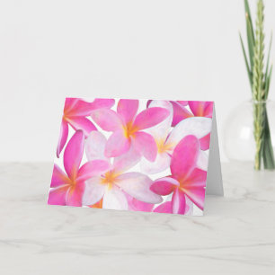 Tropical Pink Plumeria Flower Hawaii Floral Blank Card
