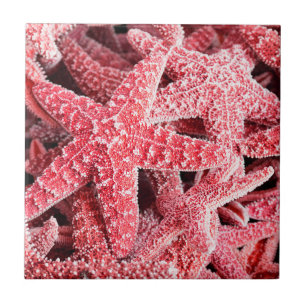 Tropical Pink Starfish Ceramic Tile