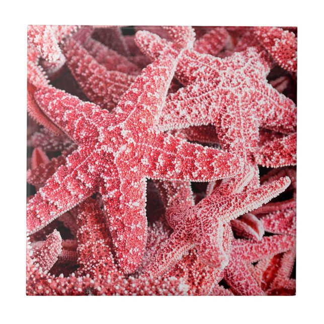 Tropical Pink Starfish Ceramic Tile (Front)