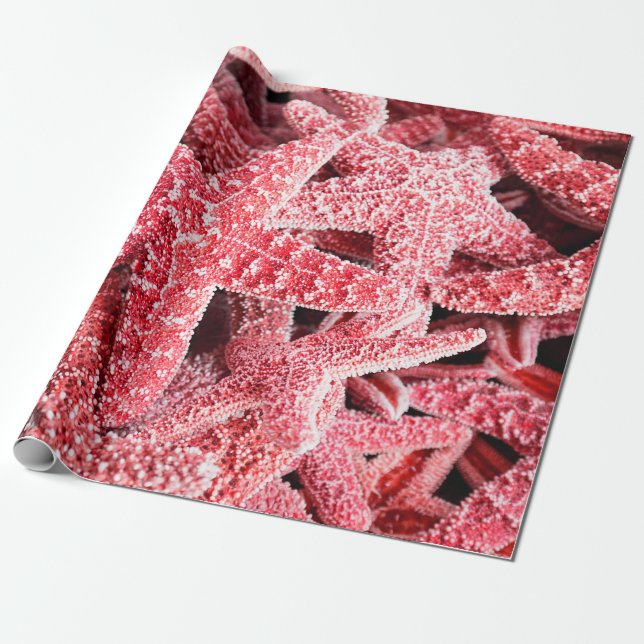 Tropical Pink Starfish Wrapping Paper (Unrolled)