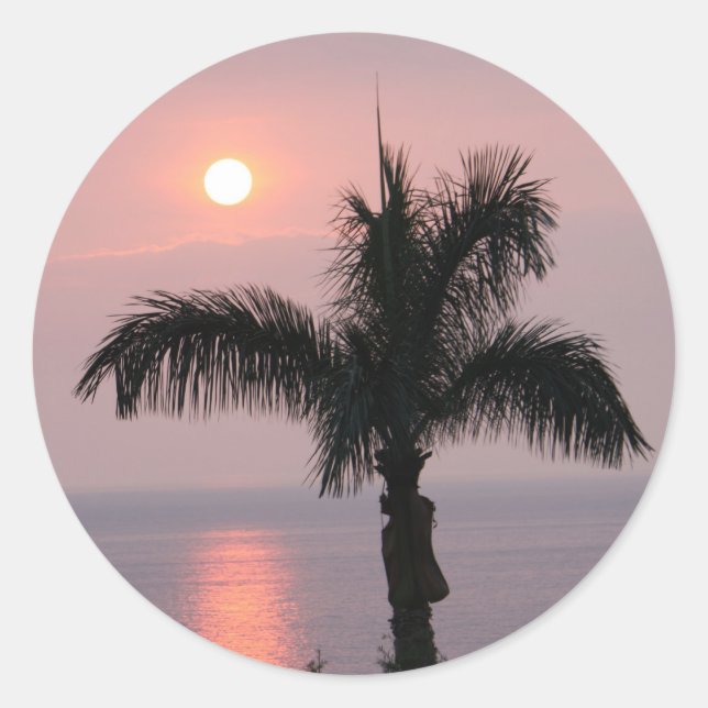 Tropical Pink Sunset and Palm Classic Round Sticker (Front)