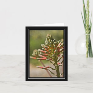 Tropical Plant Note Card