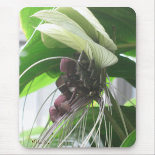 Tropical Plant Photo Mousepad