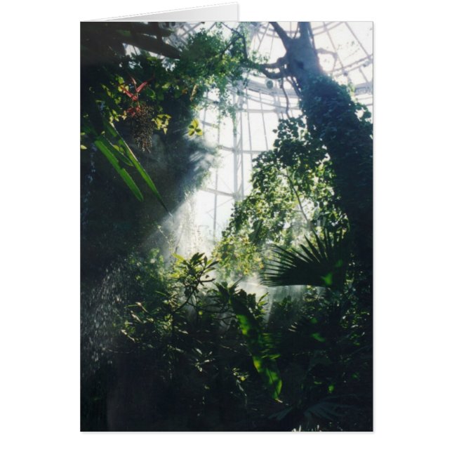 Tropical Plants (Front)