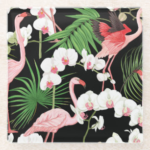 Tropical Plants Birds Coloured Illustration Glass Coaster