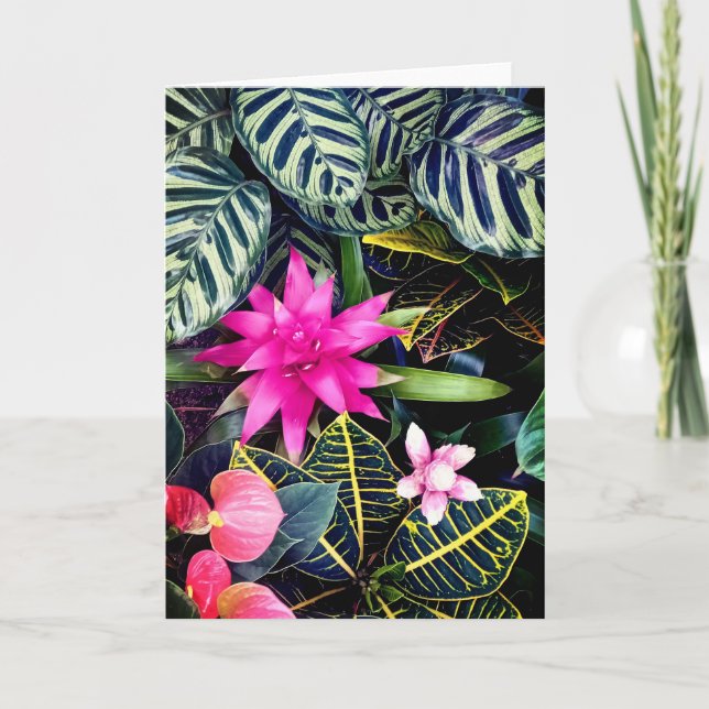 Tropical plants card (Front)