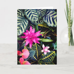 Tropical plants card
