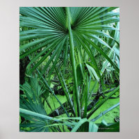 Tropical plants in salt pond