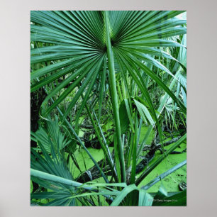 Tropical plants in salt pond poster