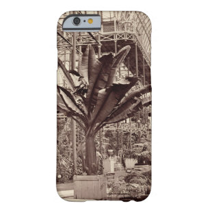 Tropical Plants in the Egyptian Room, Crystal Pala Barely There iPhone 6 Case