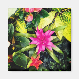 Tropical plants magnet
