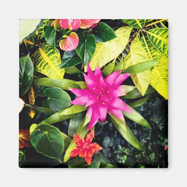 Tropical plants magnet (Front)
