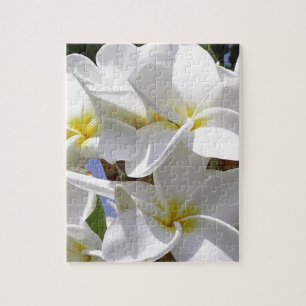 Tropical Plumeria Flowers Jigsaw Puzzle