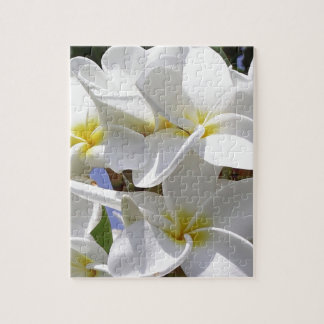 Tropical Plumeria Flowers Jigsaw Puzzle