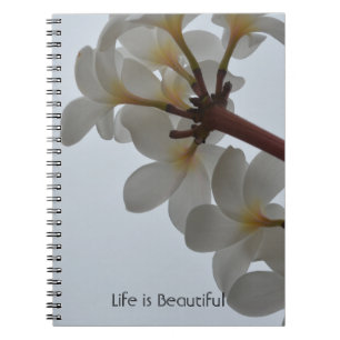 Tropical Plumeria Flowers Kauai (my photography) Notebook