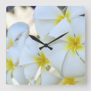 Tropical Plumeria Flowers Square Wall Clock