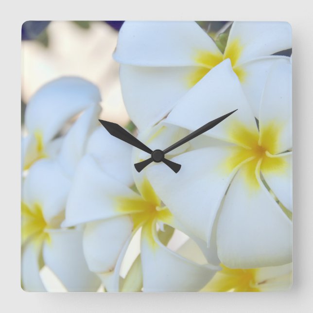Tropical Plumeria Flowers Square Wall Clock (Front)
