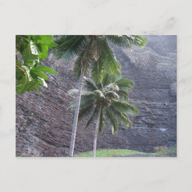 Tropical Postcard (Front)