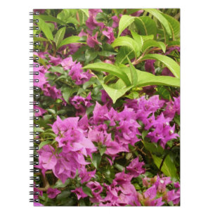 Tropical Purple Bougainvillea Floral Notebook
