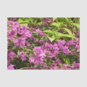 Tropical Purple Bougainvillea Floral Tissue Paper