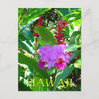 Tropical Purple Hawaiian Flower Postcard