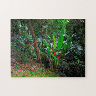 Tropical Rain Forest Grenada Caribbean. Jigsaw Puzzle