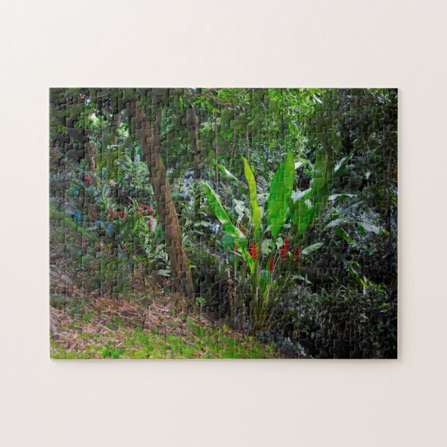 Tropical Rain Forest Grenada Caribbean. Jigsaw Puzzle (Horizontal)