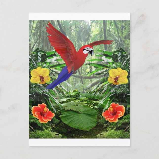 Tropical Rain Forest Postcard (Front)