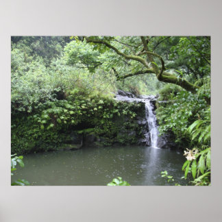 Tropical Rain Forest Waterfall Poster