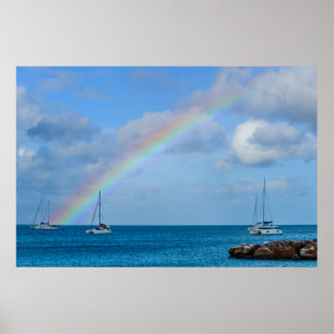 Tropical Rainbow Poster