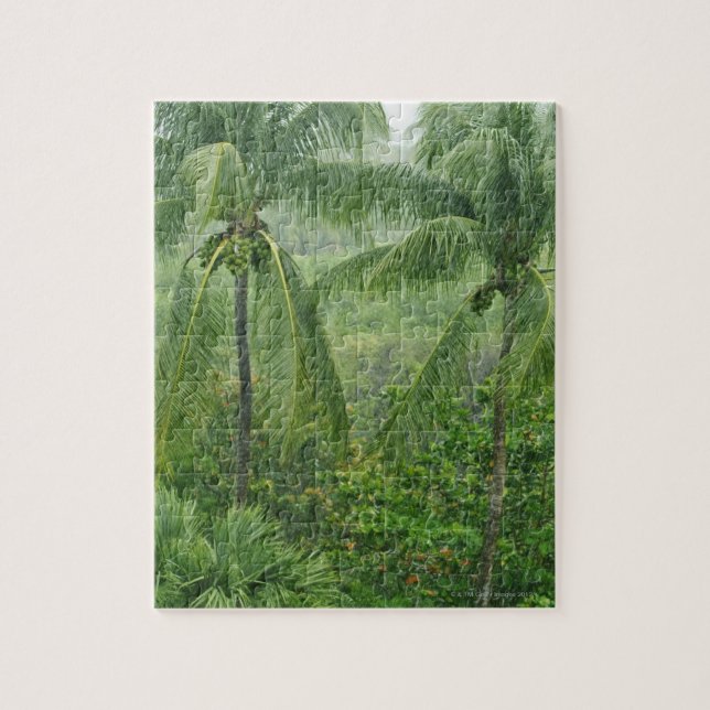 Tropical rainforest jigsaw puzzle (Vertical)