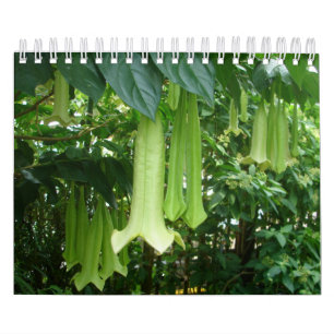Tropical Rainforest Plants Calendar