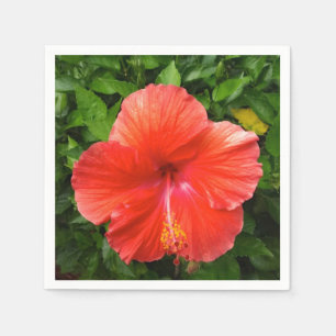 Tropical Red Hibiscus Bonita Springs Florida Napkin