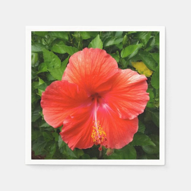 Tropical Red Hibiscus Bonita Springs Florida Napkin (Front)