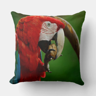 Tropical Red Parrot Cushion