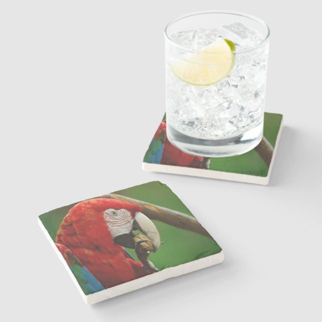 Tropical Red Parrot Stone Coaster (Side)