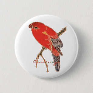 Tropical Red Parrot Thunder_Cove 6 Cm Round Badge